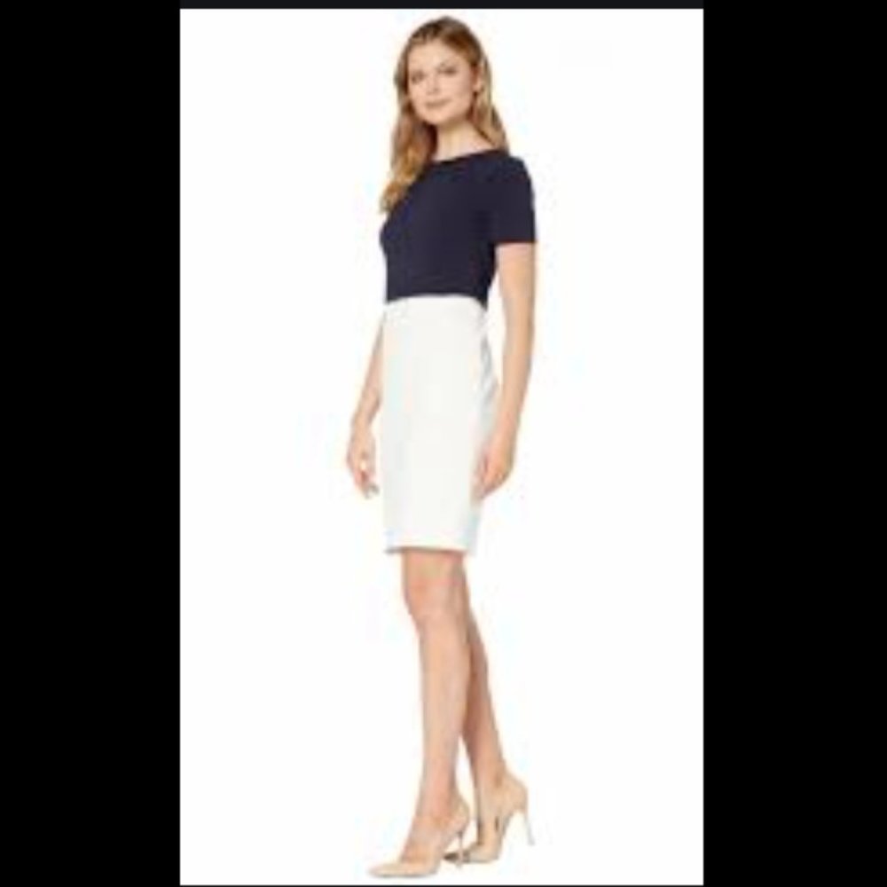 Ralph Lauren 2Tone Sheath Dress - Picture 2 of 7
